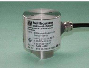 德國(guó)HOLTHAUSEN監(jiān)視器