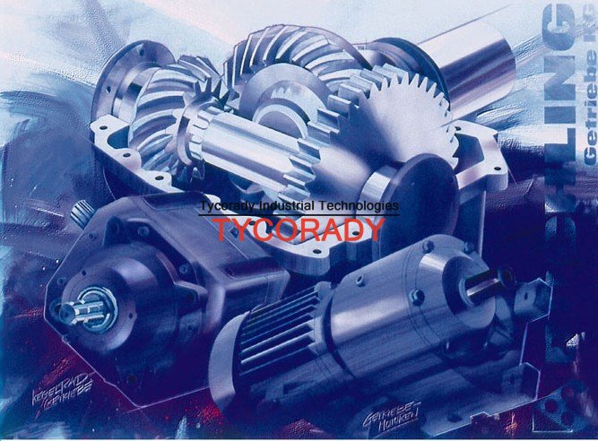 供應ROCHLING齒輪裝置